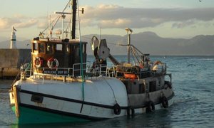 Vissermansdankseggingsdiens 2013